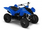 Yamaha YFM50 Yamaha YFM50